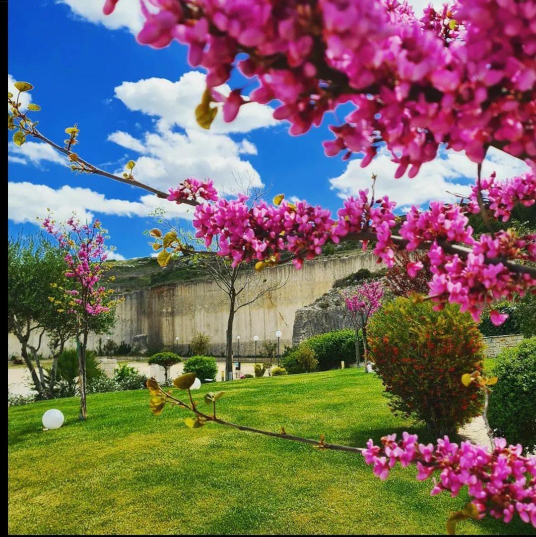 Agriturismo Nonna Rosa Villa Matera Dış mekan fotoğraf